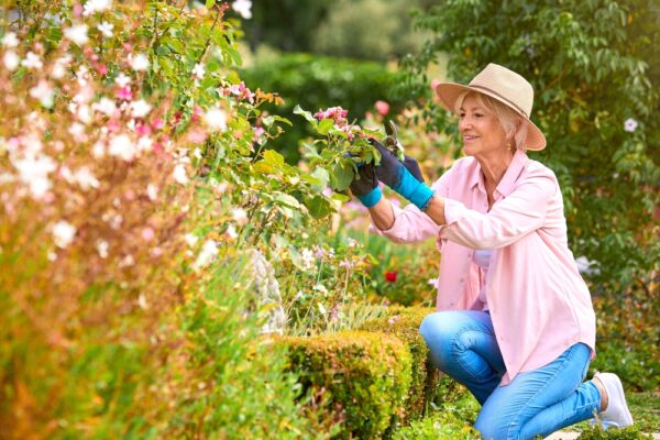 People Who Retire Early And Rich Do These Things