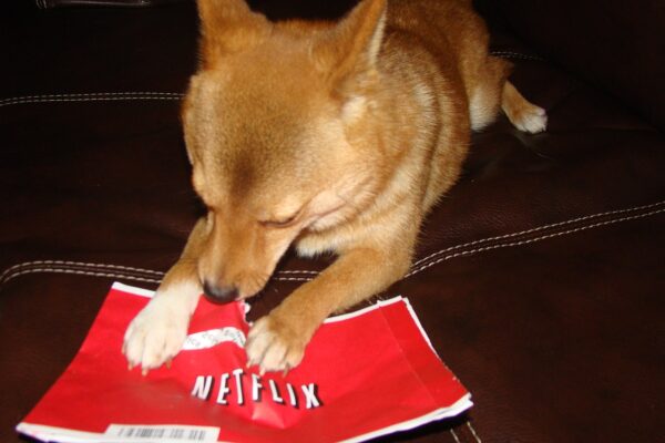 14 Subscriptions Retirees Forget They’re Still Paying For