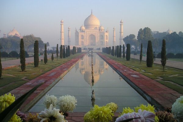 12 Currencies Beating the Dollar in 2025 And What That Means for Your Travel Plans